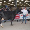 Wintershow_NH_2018_67