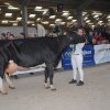 Wintershow_NH_2018_68