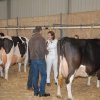 Wintershow_NH_2018_74