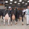 Wintershow_NH_2018_76