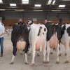 Wintershow_NH_2018_77