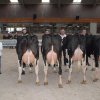 Wintershow_NH_2018_78