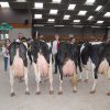 Wintershow_NH_2018_79
