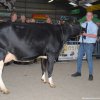 Wintershow_2019_037