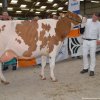 Wintershow_2019_065