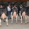 Wintershow_2019_087