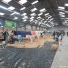 Wintershow_NH_2020_07