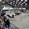 Wintershow_NH_2020_24