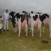 Wintershow_NH_2020_067
