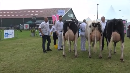 Bedrijfsgroepen zomerkeuring 2021